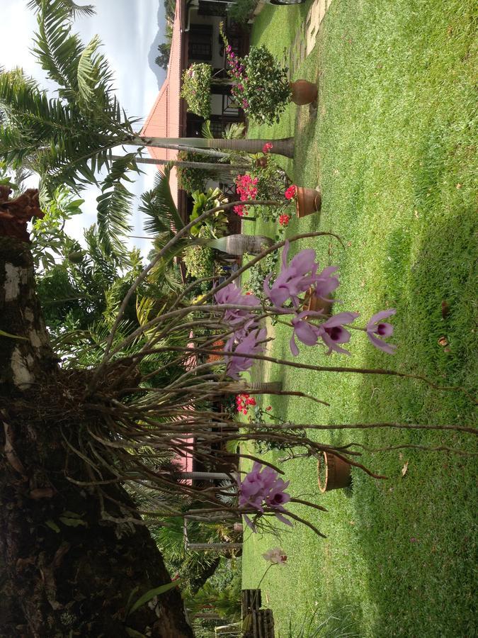 Le Bungalow Des Bougainvilliers Ducos المظهر الخارجي الصورة